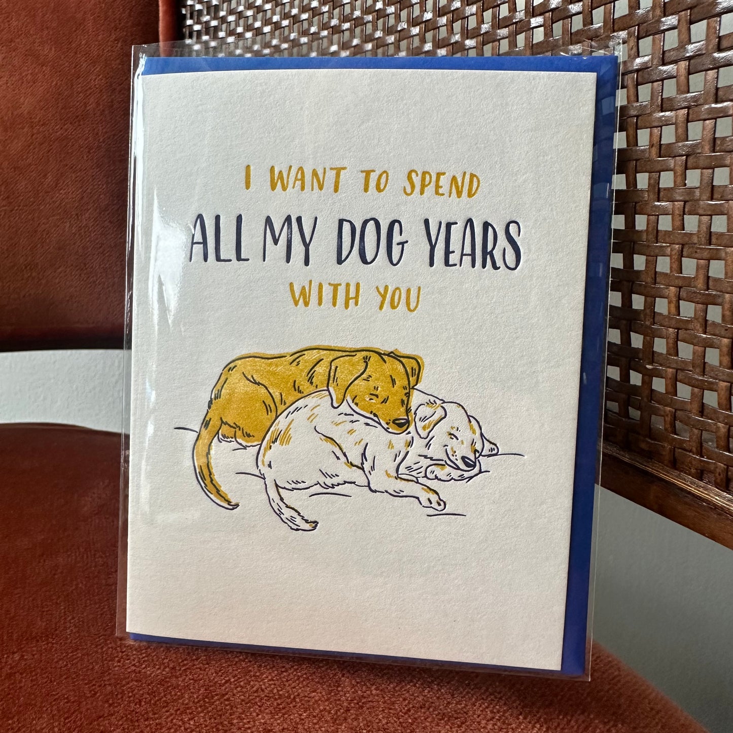 Dog years card